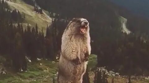 Орать на горы