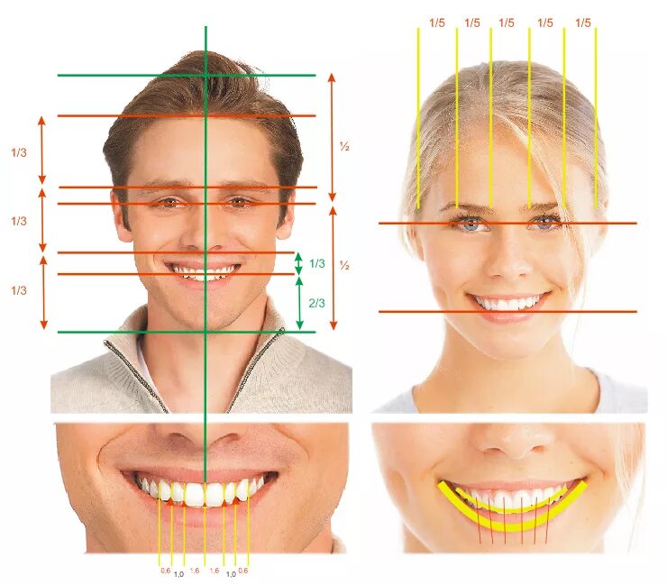 Твоего лица рот. Срединная линия лица. Симметрия лица. Симметрия улыбки. Симметрия зубов в улыбке.