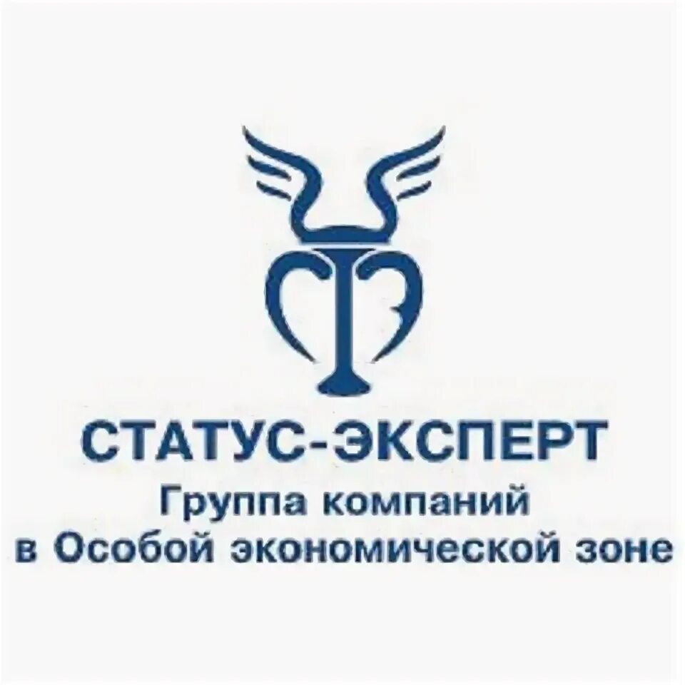новогодний дизайн упаковки пледа. компания особа. компания особа. компания особа. асоба страхование.