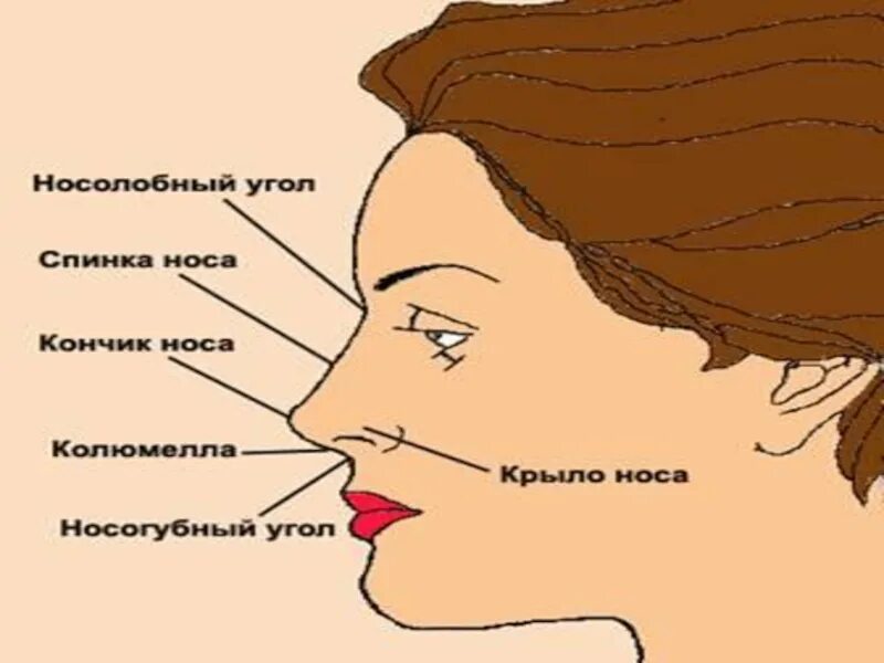 Почему нельзя давить на лице