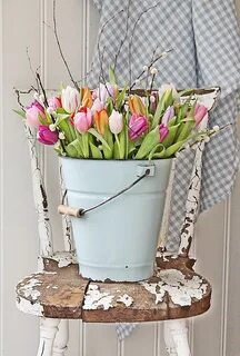 Idea spring