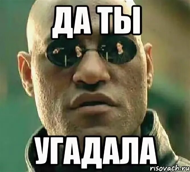 Я буду говорить а ты угадывать. Ты угадал. Мемы Угадай. Угадала. Угадать картинку.