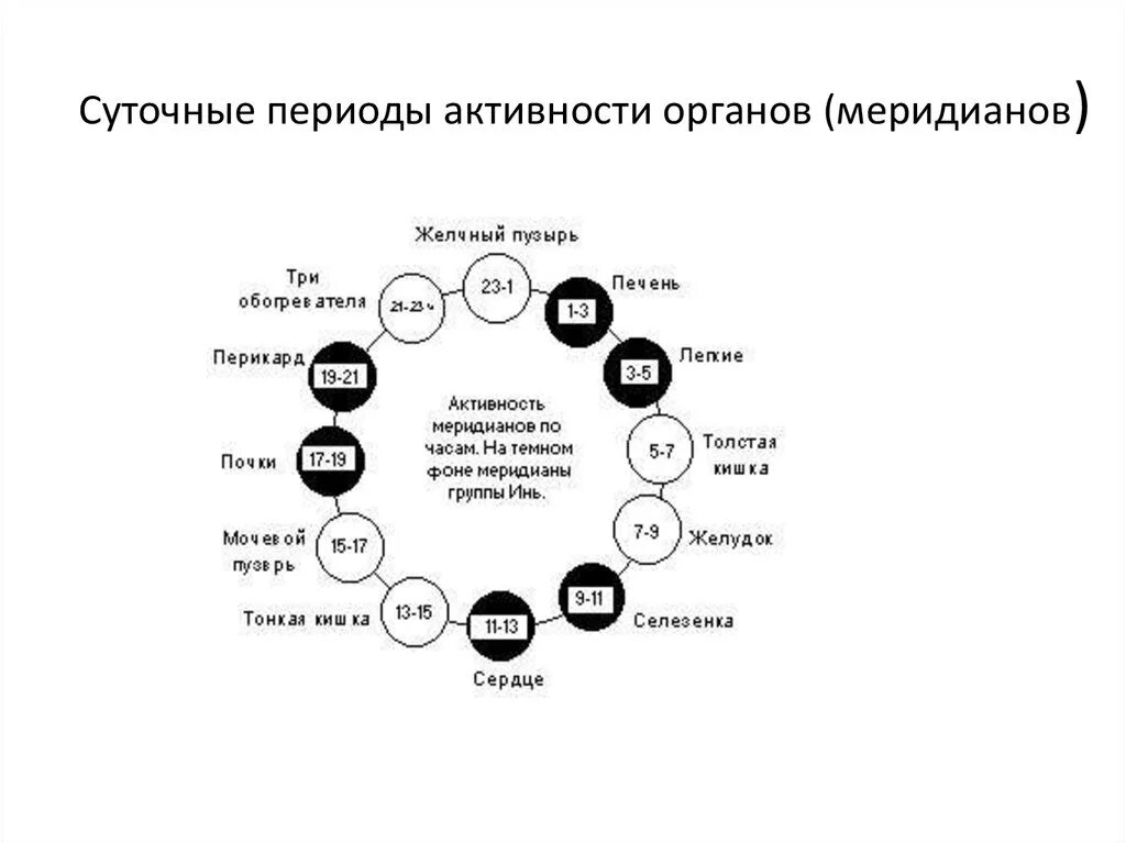 Суточный цикл работы органов человека по часам. Суточный цикл меридианов. Суточные ритмы внутренних органов. Время активности меридианов.