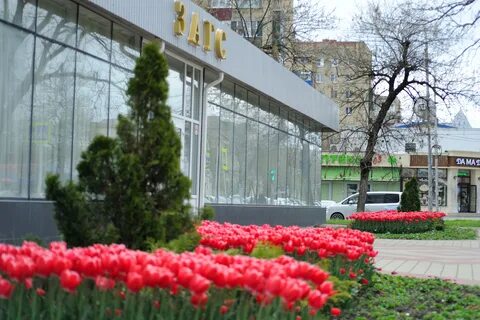 Цветовня