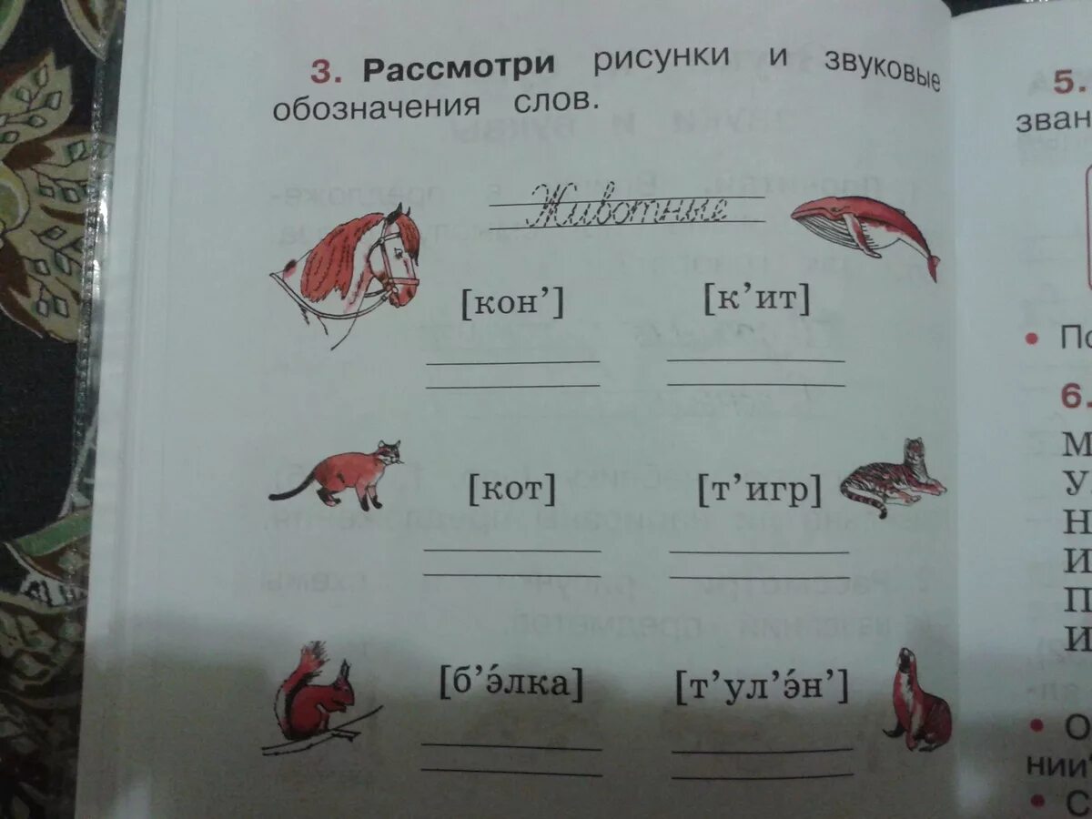 Рассмотри рисунки и звуковые обозначения слов. Звуковое обозначение. Звуковое обозначение слова. Рассмотри рисунки и звуковые обозн.