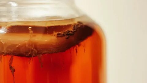 Kombucha doma: Jednoduchý recept, který vám ušetří spoustu peněz!