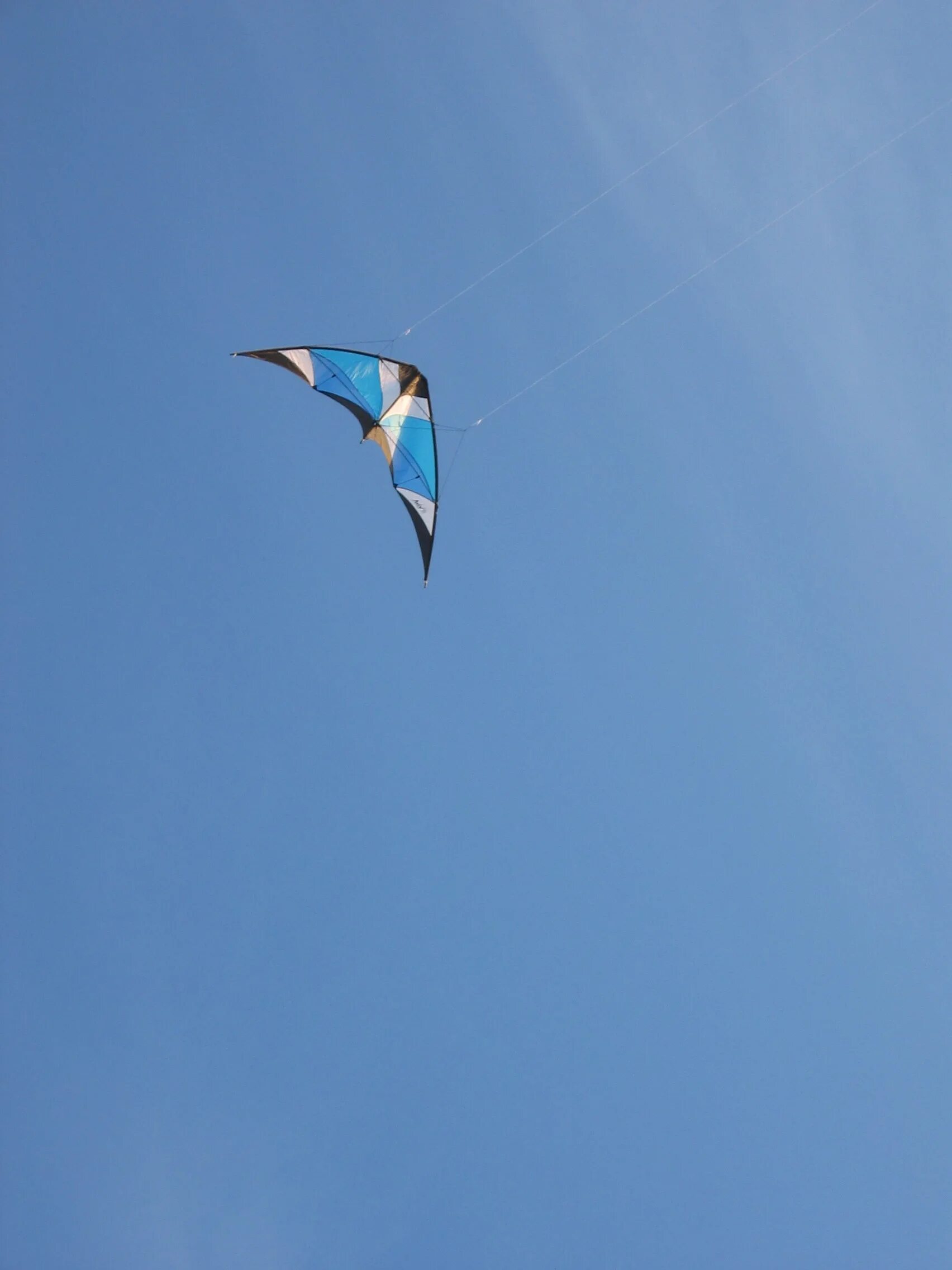 Бумажный змей синь. Голубое небо с воздушным змеем. Воздушный змей. Воздушный змей в небе высоко. Скаты в небе.