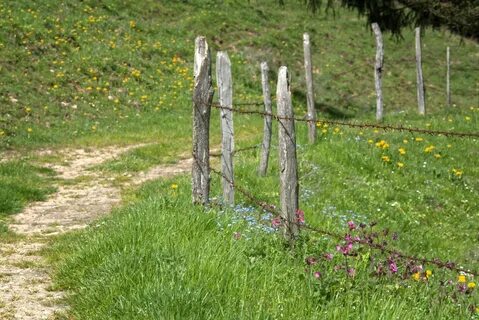 Path post