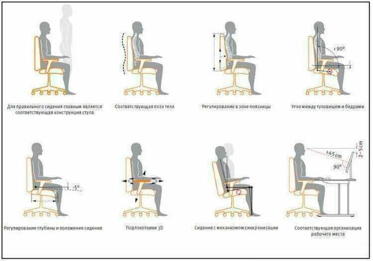 Правильная эргономика кресла. Эргономика офисного кресла. Эргономика рабочего стула. Стул для офиса эргономика.