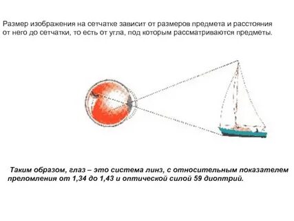Изображение предметов на сетчатке