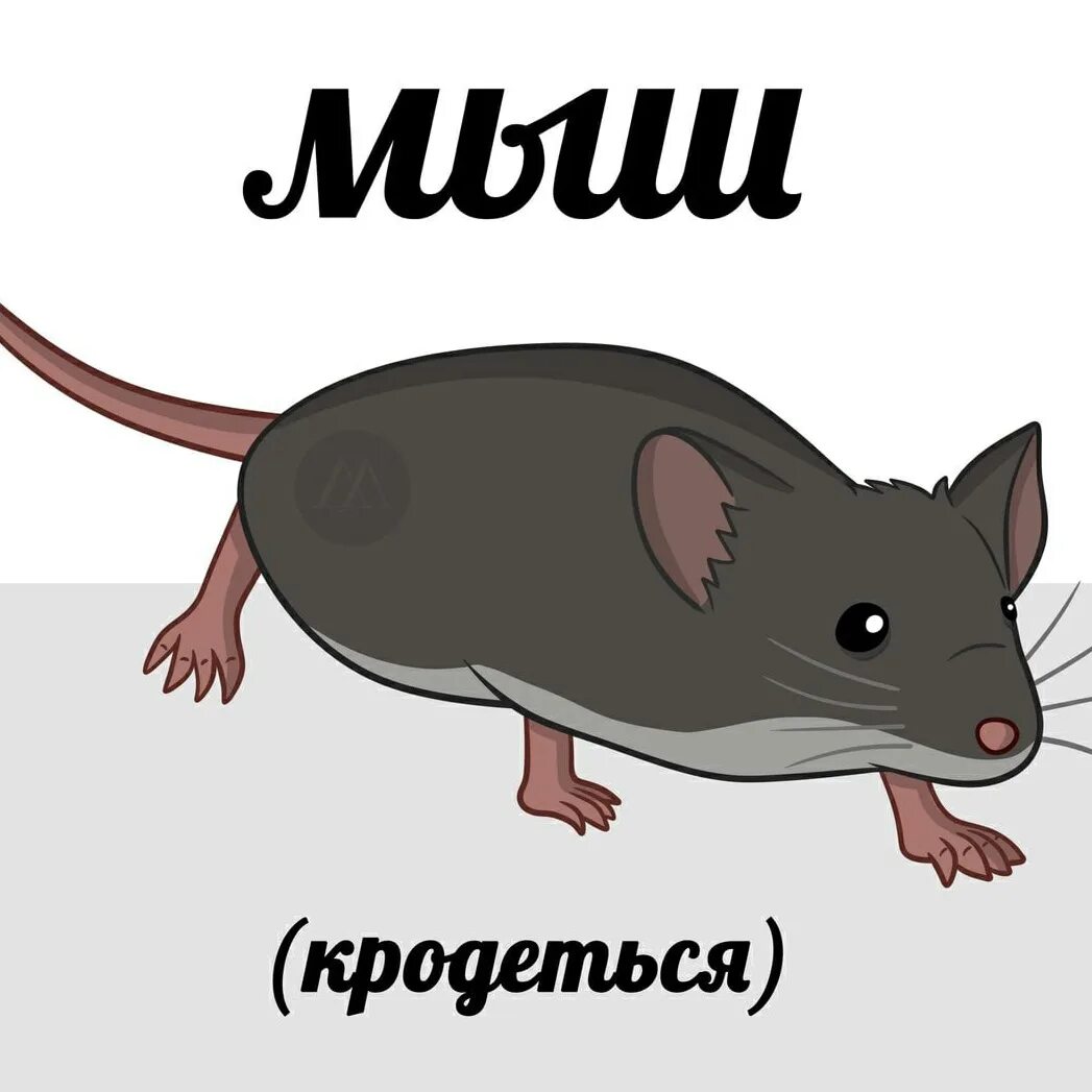 Ставь мышь. Мышь крадется. мышь мем. крадется мем. мемы мышь крадется.