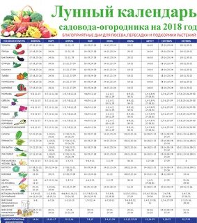 Найти лунный календарь