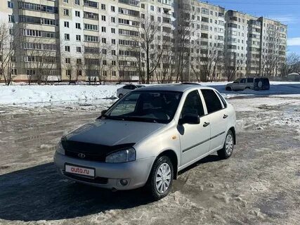 Калина пермском крае
