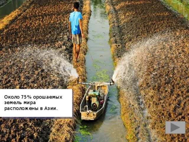 Какие земли орошаемые. Гидромелиорация земель. Оросительная система. Почвоочищающее орошение орошение это. Дождевальное орошение.