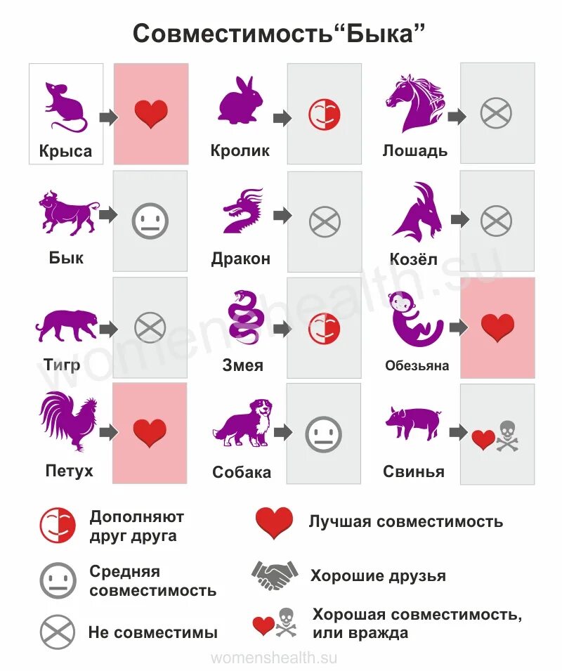 Лошадь собака совместимость мужчина. Гороскоп совместимости. Любовный гороскоп. Гороскоп по знакам. Совместить знаки зодиака.