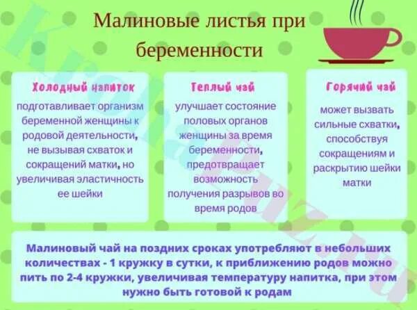 Можно ли пить беременным листья. Листья малины при беременности на поздних сроках. отвар листьев малины перед родами. отвар листьев малины для беременных. малиновый лист при беременности.
