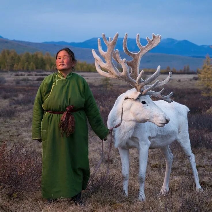 Известные люди севера. Люди севера. Люди живут на севере с оленями. Женщины Ямала. Женщина в тундре.