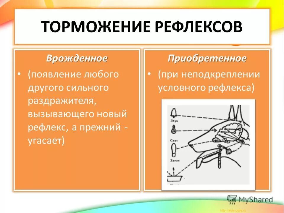 Условный тип рефлекса. Механизм торможения условных рефлексов. Безусловный Тип торможения условных рефлексов. Внешнее торможение условных рефлексов происходит при. Схема безусловного торможения условных рефлексов.