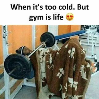 Workout Memes, Gym Memes, Gym Humor, Gym Workouts, Funny Memes, Hilarious.....
