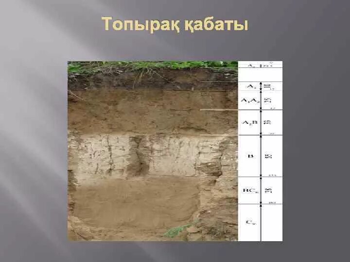 Топырақты қорғау презентация. Топырақ неге ластанады реферат бастауыш окушыга презентация. Жаратылыстану 3 сынып топырақ не үшін қажет презентация қмж. Торпырақ тозуы деген не. Топырақ не үшін қажет 3 сынып.