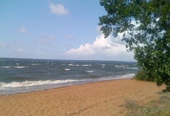 Приморск пляж. Приморск пляж ленинградская область. золотой пляж приморск ленинградская область. манола приморск.
