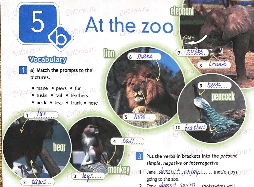 Read the definitions then match the animals
