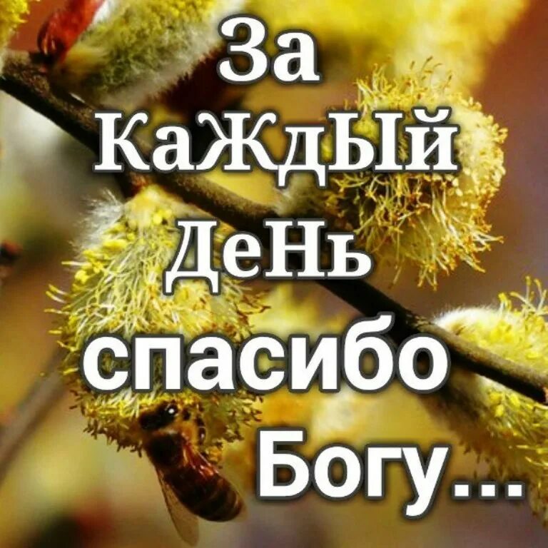 Спасибо новому дню жизнь. Благодарность богу. благодарю бога за все. спасибо господи за новый день. за каждый день спасибо богу.