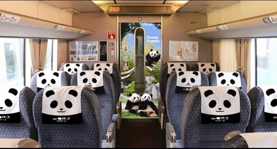 Панда по поезд. Панда в поезде. Grusovaja masinka картинка. Pandas train. Автобус панда.