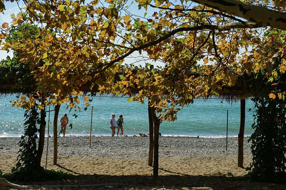 Абхазия погода на неделю сухуми. Абхазия Сухум осень. Осень в Пицунде. Осеннее море Гагра. Абхазия в октябре.