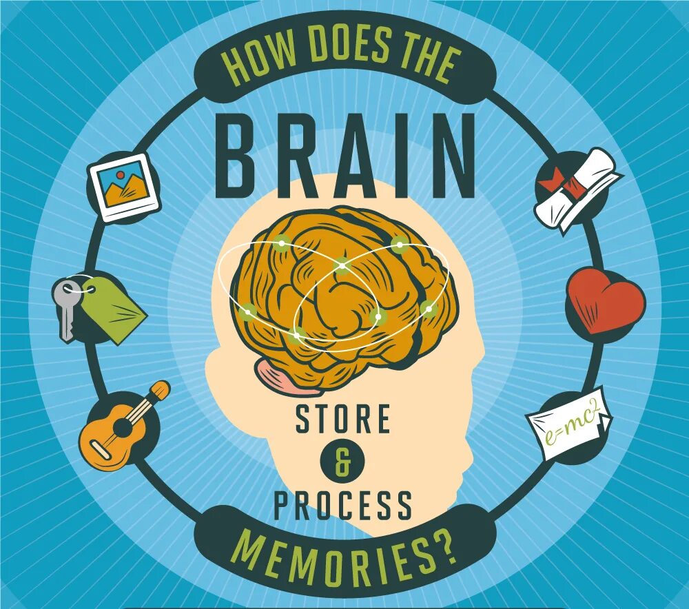 Brain information. Мозг обрабатывает информацию. Мозг и информация. Мозг инфографика. Мозг воспоминания.