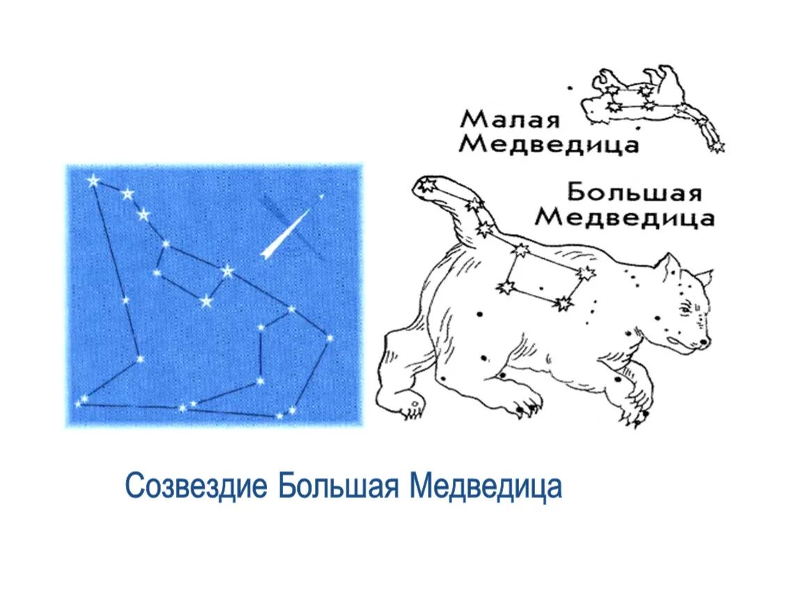 Созвездие дошкольное. Созвездие большой и малой медведицы схема. Созвездие большая Медведица схема по точкам для детей. Созвездие малой медведицы схема для детей. Созвездие малой медведицы для детей 2 класса.