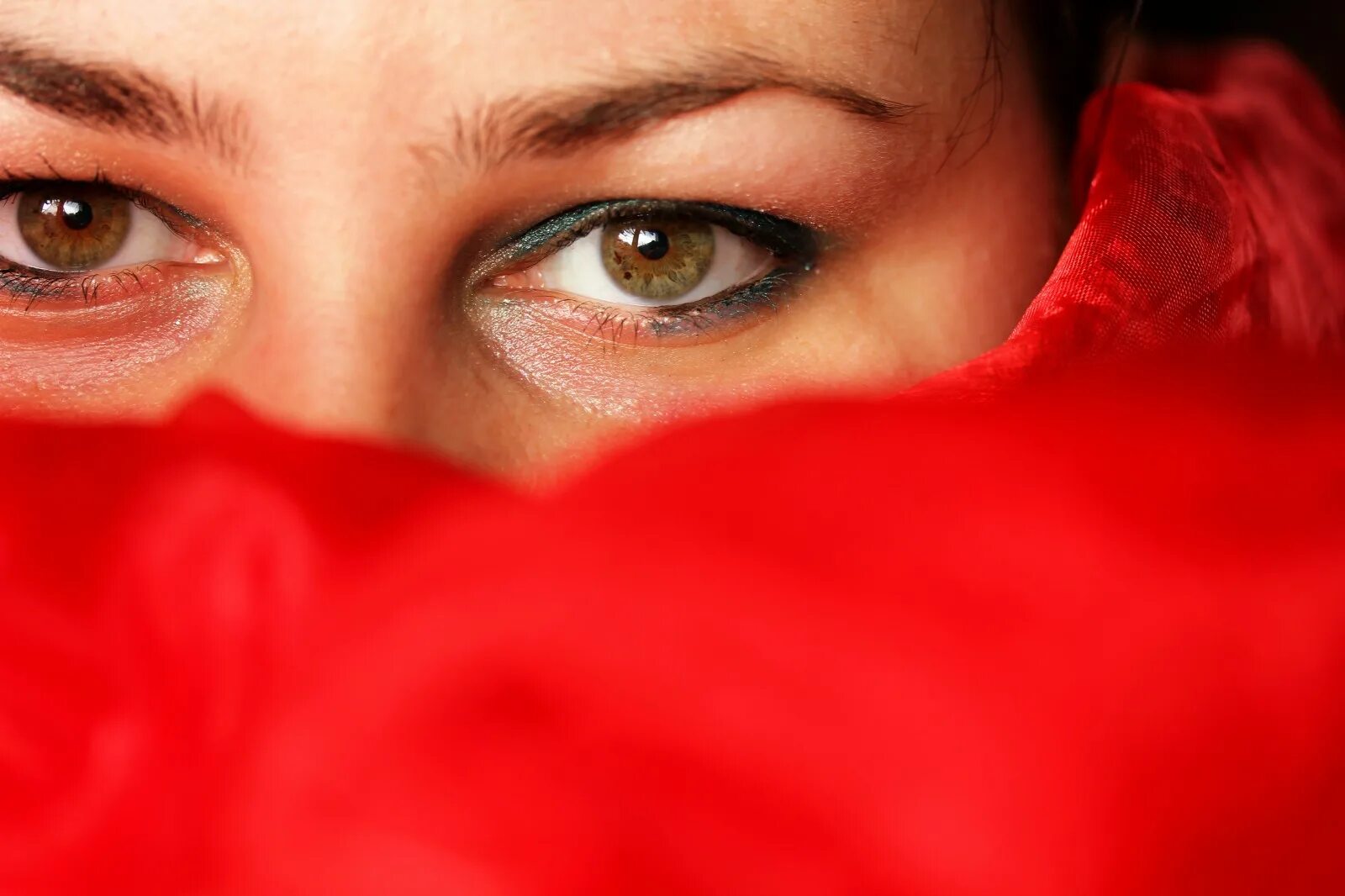 Le yeux