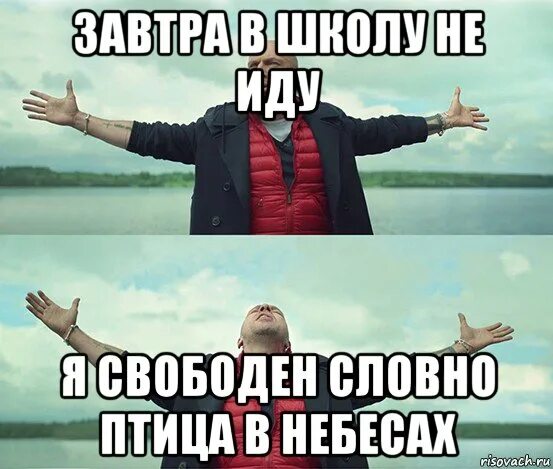 Я свободен. Словно птица в небесах. Я свободен как птица в небесах. Я свободен словно пицца в небесах мэм. Хочу своб