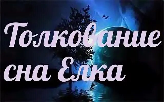 К чему снятся ели во сне