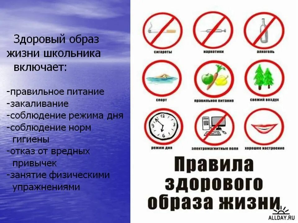 Здоровый образ жизни. Здоровый образ жизни для школьников. Здоровые привычки. Соблюдение здорового образа жизни.