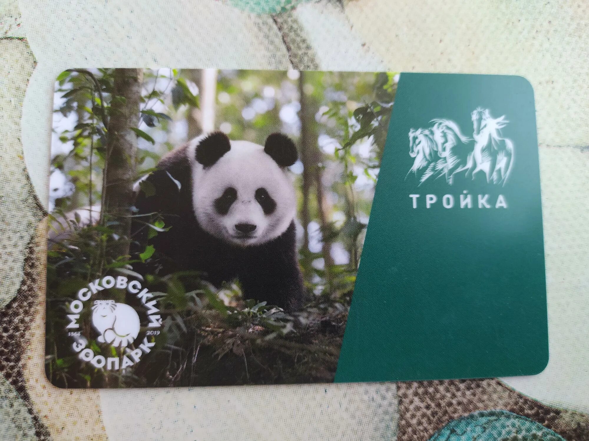 Карта московского зоопарка панды. Карта тройка московский зоопарк. Карта тройка панда. Тройка с пандой. Панды обнимаются.