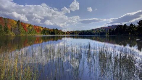 Lakes region nh
