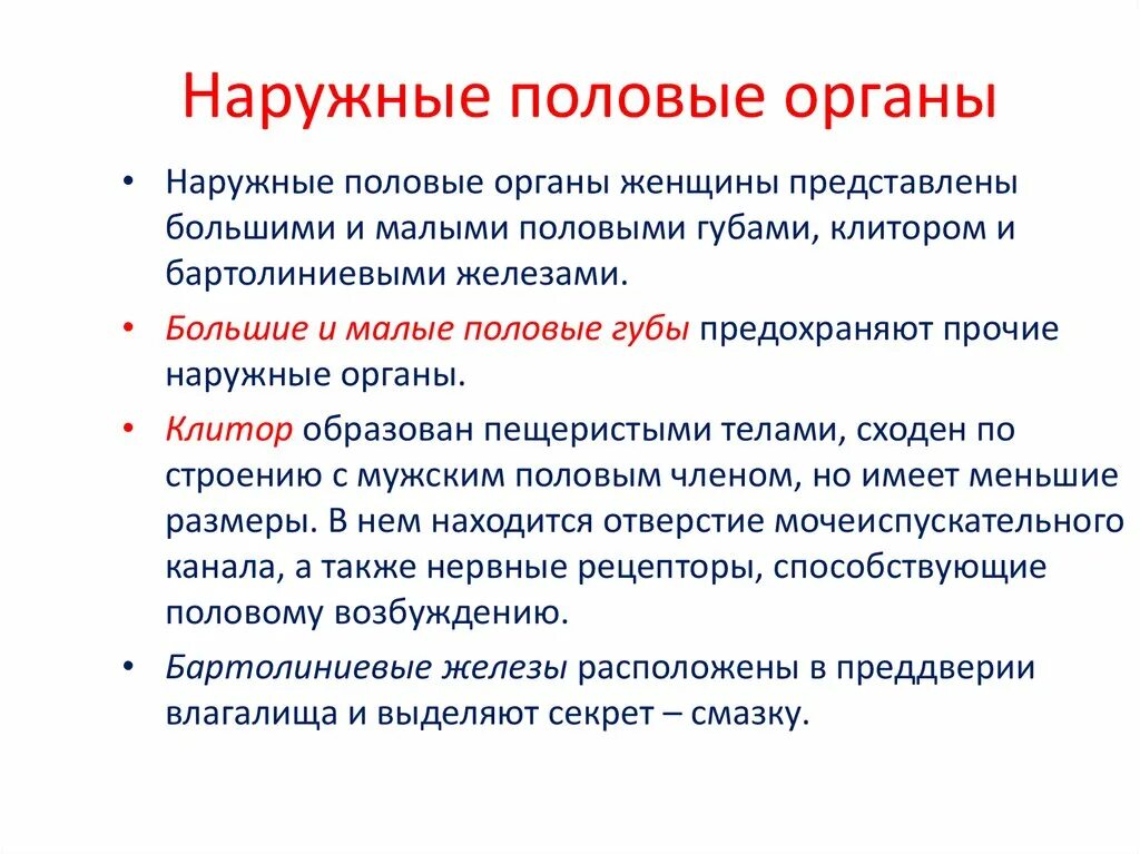 Женские малые половые губы. Наружные половые органы. Наружных половых органов женщины. Строение женских.половых органов наружных. Наружные половые органы значение.