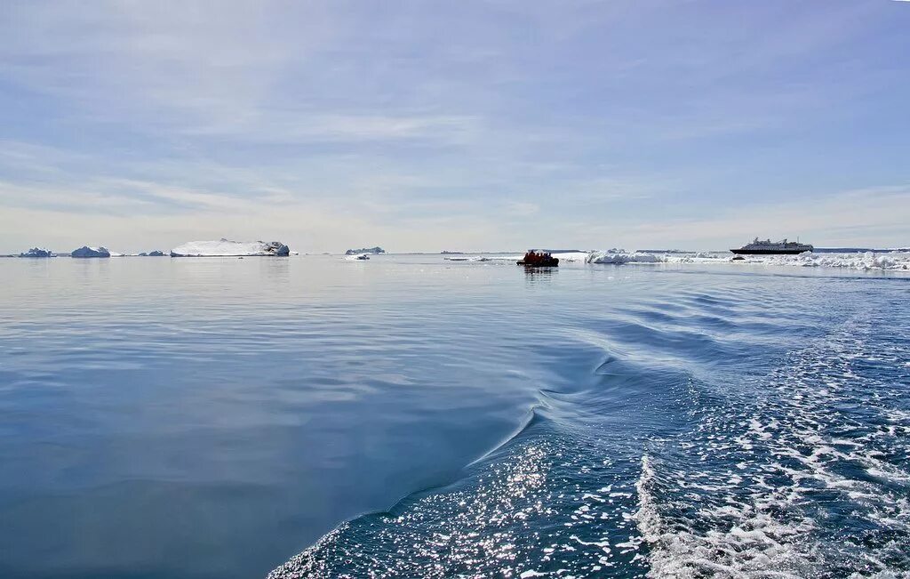 Море Космонавтов Антарктида. Море Рисер-Ларсена. Д’Юрвиля море. Море Космонавтов фото.