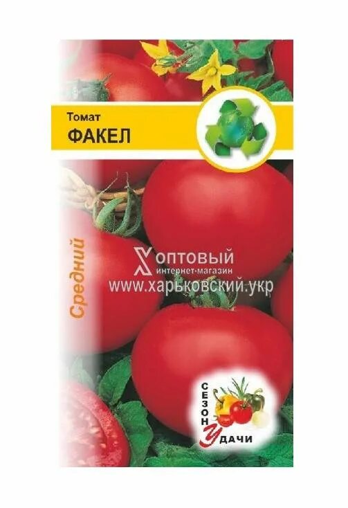 Помидоры красный факел. Томаты красный факел описание. Томаты красный факел описание. Томат красный факел характеристика. Томат мальва f1.