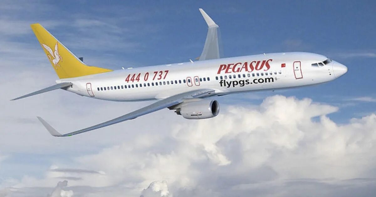 Pegasus авиакомпания сайт. Boeing 737 Pegasus Airlines. Пегасус турецкие авиалинии. Пегасус Турция авиакомпания. Самолеты Пегасус авиакомпания.