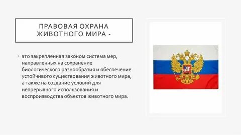 Система охраны законодательства