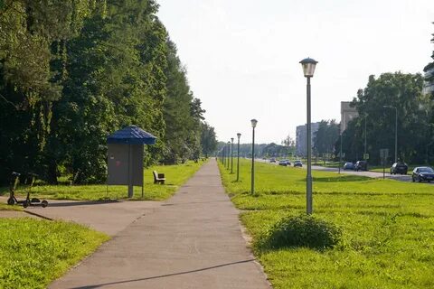 360 черноголовка