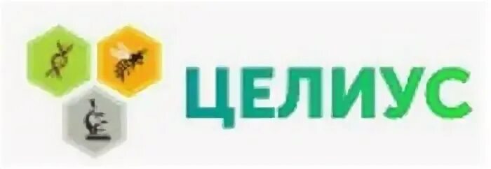Целиус