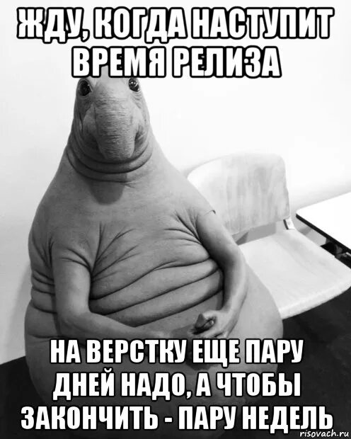 Я люблю пашу картинки с надписями. Жду пашу. Да да да. Жду пашу. Ждун с волосами.
