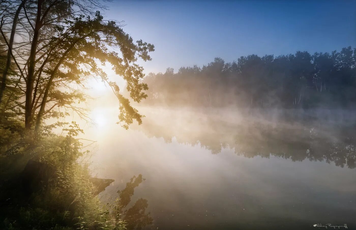 Туманное утро на реке. Вологодская область деревня шелохачь. Туманное утро. Туман россия. Р туманная.