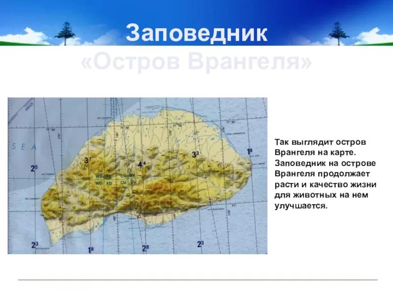 Как называется остров врангеля. Остров врангеля климат. заповедник остров врангеля на карте.