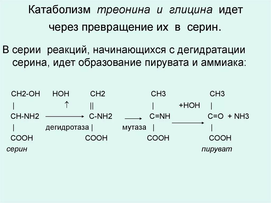 Глицин треонин