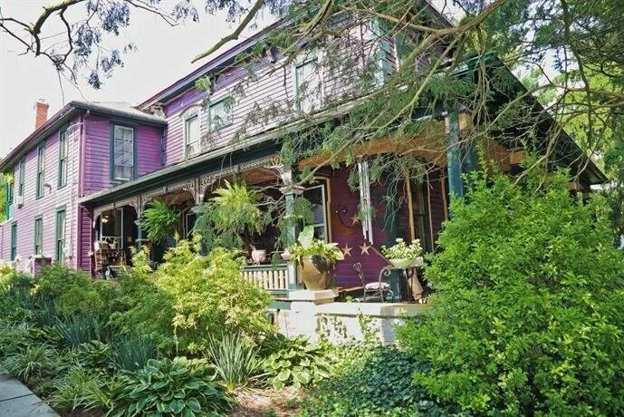 Бродмедоу мэджик адамстаун роузбад. Острова питкэрн население. Адамстаун. Адамстаун город. Бродмедоу мэджик адамстаун роузбад.