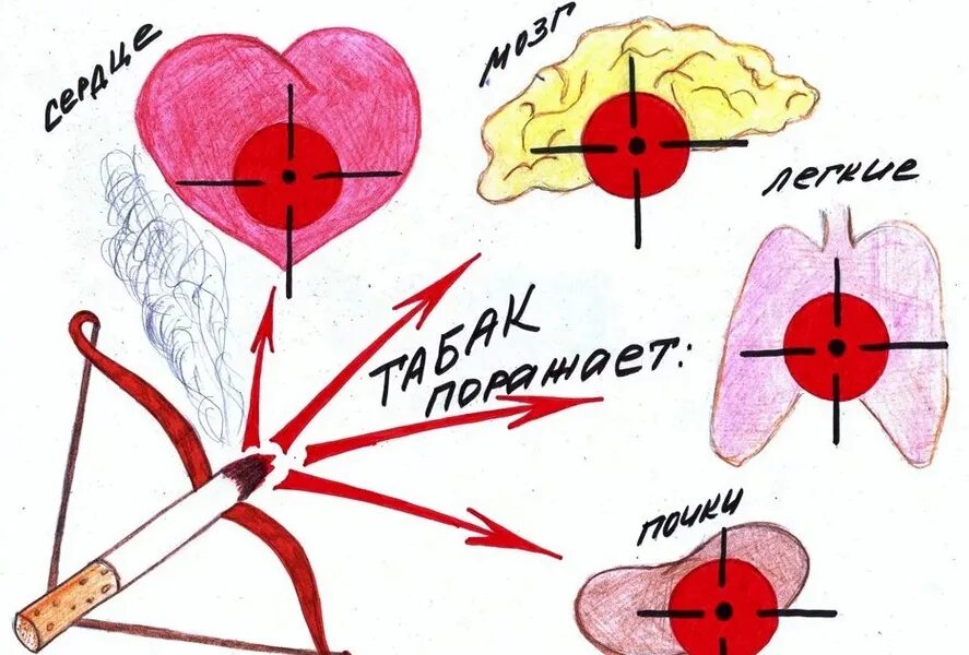В сердце раны в легких никотин. Рисунок на тему вред курения. Рисунки о вреде курения для школьников. Рисунокина тому курения. Рисунок на тему курить здоровью вредить.